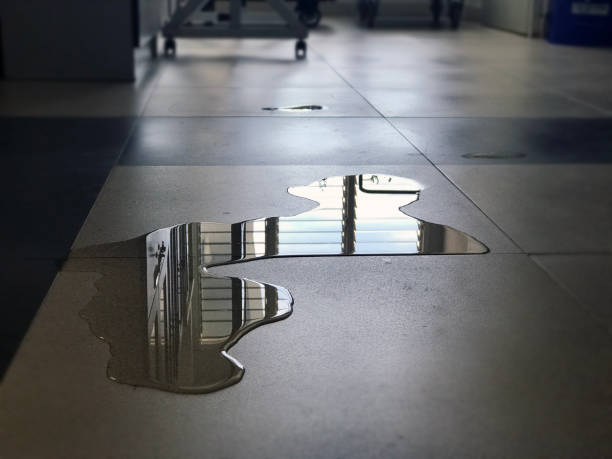 Carpet water damage restoration in Centreville, VA